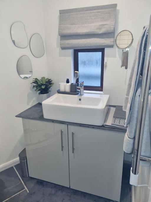 The Den - A Modern, Quirky, Self Contained Unit Lejlighed Braunton Eksteriør billede